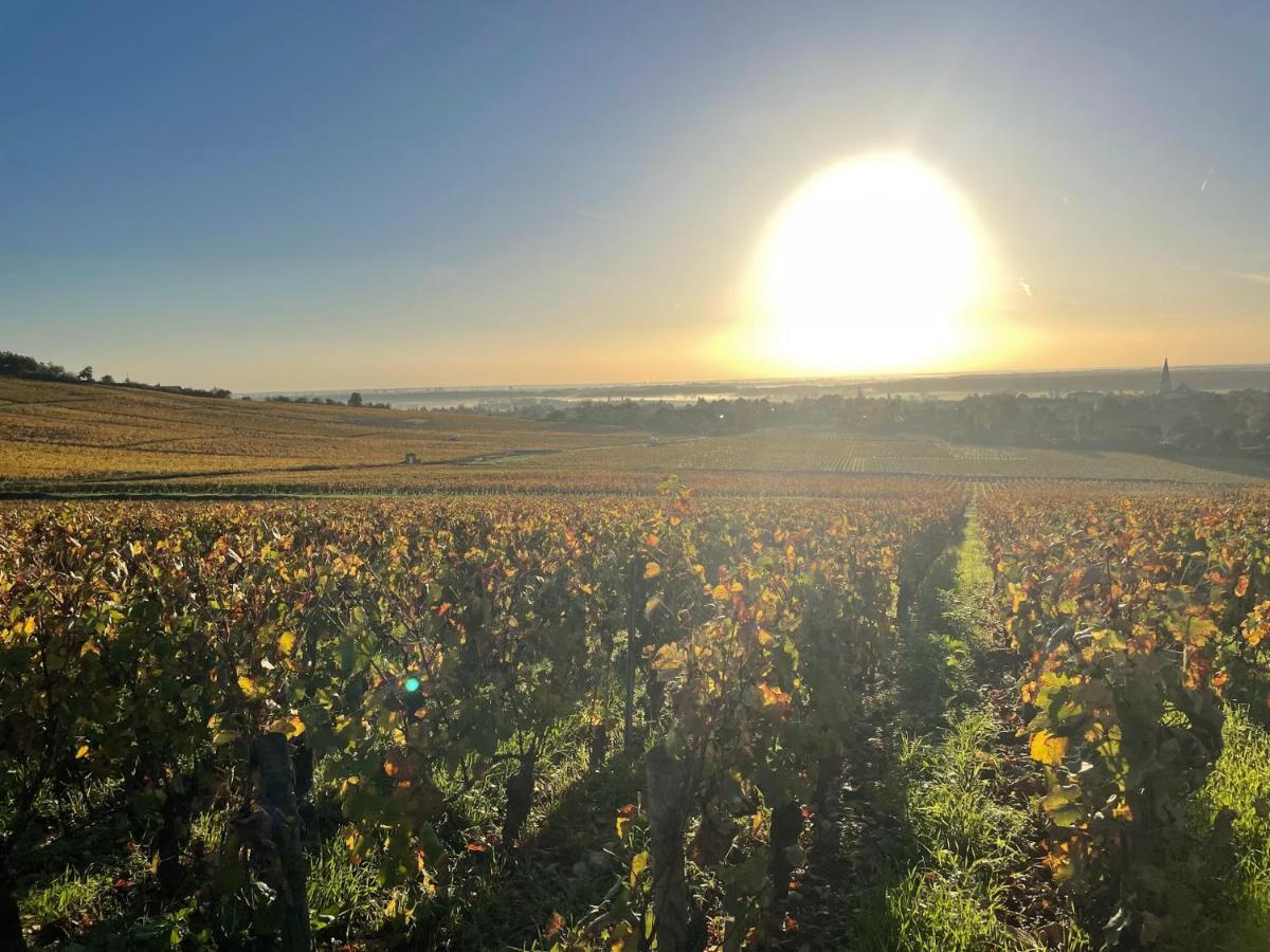 Le Clos De Miribel Givry  Zewnętrze zdjęcie