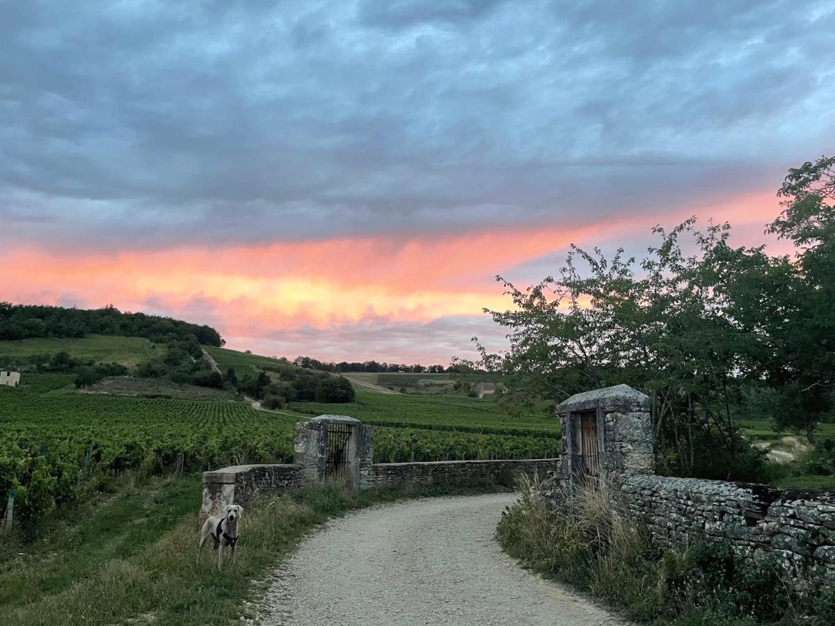 Le Clos De Miribel Givry  Zewnętrze zdjęcie